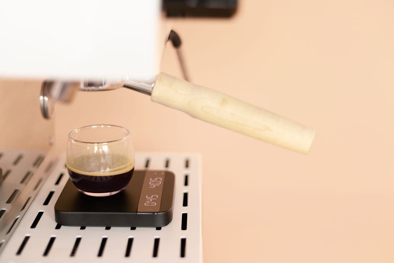 Lunar sitting in an espresso machine drip tray with a glass on top