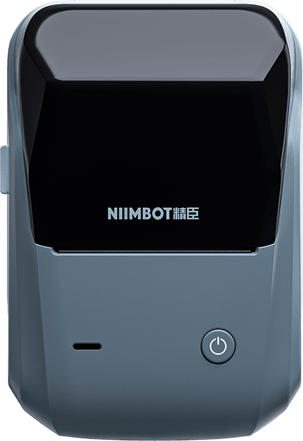 NIIMBOT B1
